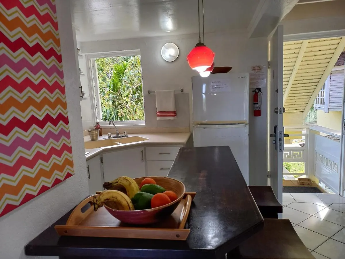 Apartment The Paradise View Mystic Ridge 79A Ocho Rios